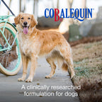Nutramax Cobalequin Vitamin B12 for Dogs Over 21lbs - 45 Tablets - image 2