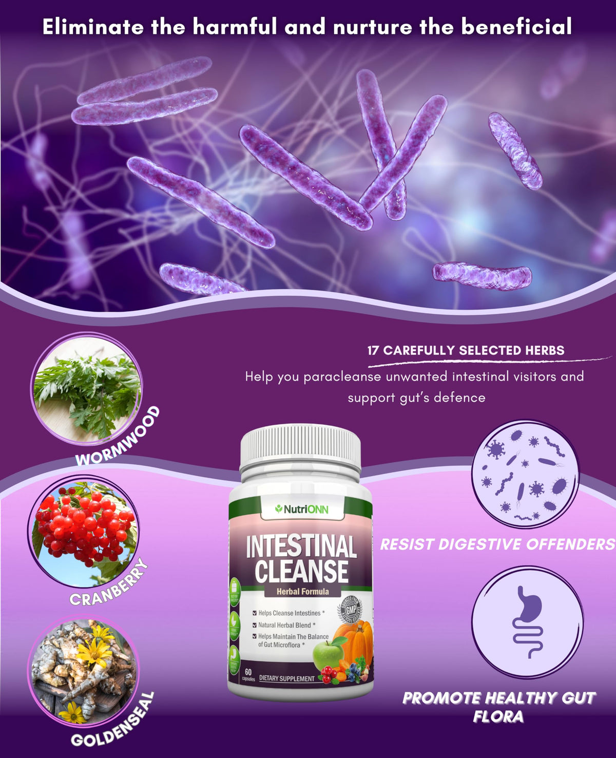 NutriONN Intestinal Cleanse - ParaGuard - 10-Day Detox - Wormwood - image 4