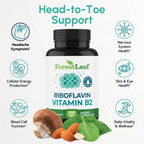 ForestLeaf Vitamin B2 Riboflavin 400mg - Energy