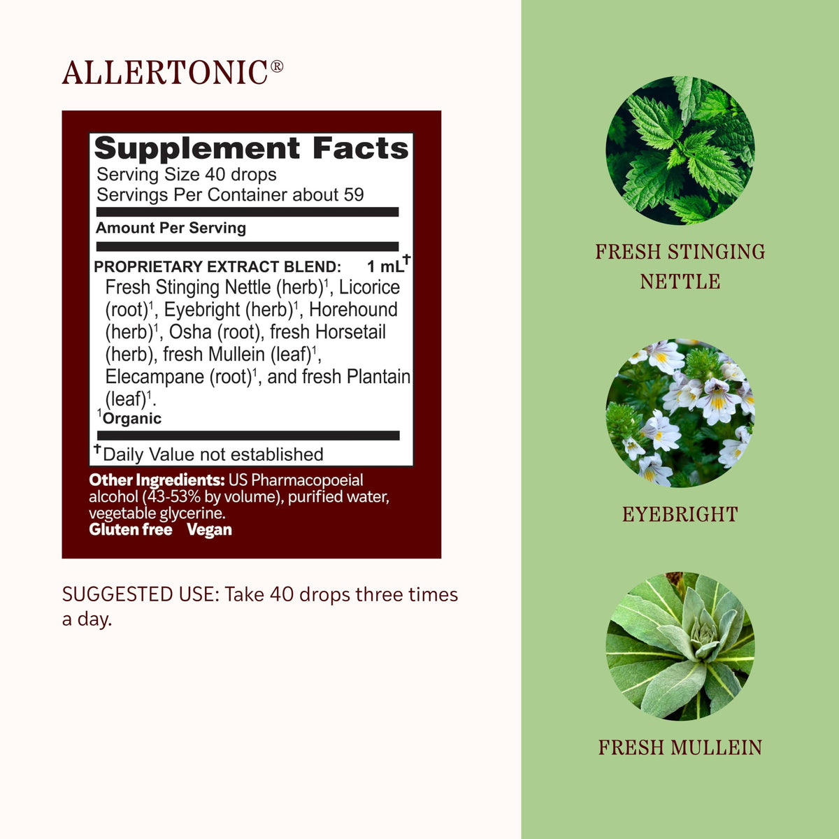 Herbs Etc. Allertonic Classic Liquid Extract - 2 fl oz - image 4