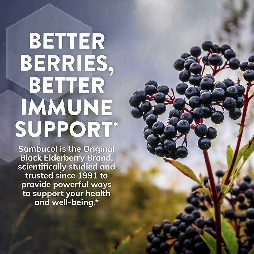 Sambucol Black Elderberry Day & Night Relief - 24 Capsules - image 5