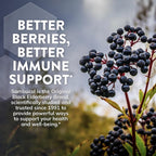 Sambucol Black Elderberry Day & Night Relief - 24 Capsules - image 5