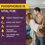 WellnessOne Ionic Phosphorus Liquid - 1.67 fl oz - image 3