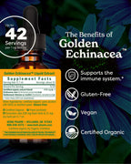 Herb Pharm Golden Echinacea Liquid Extract for Immune Support - 1 Fl Oz - image 2