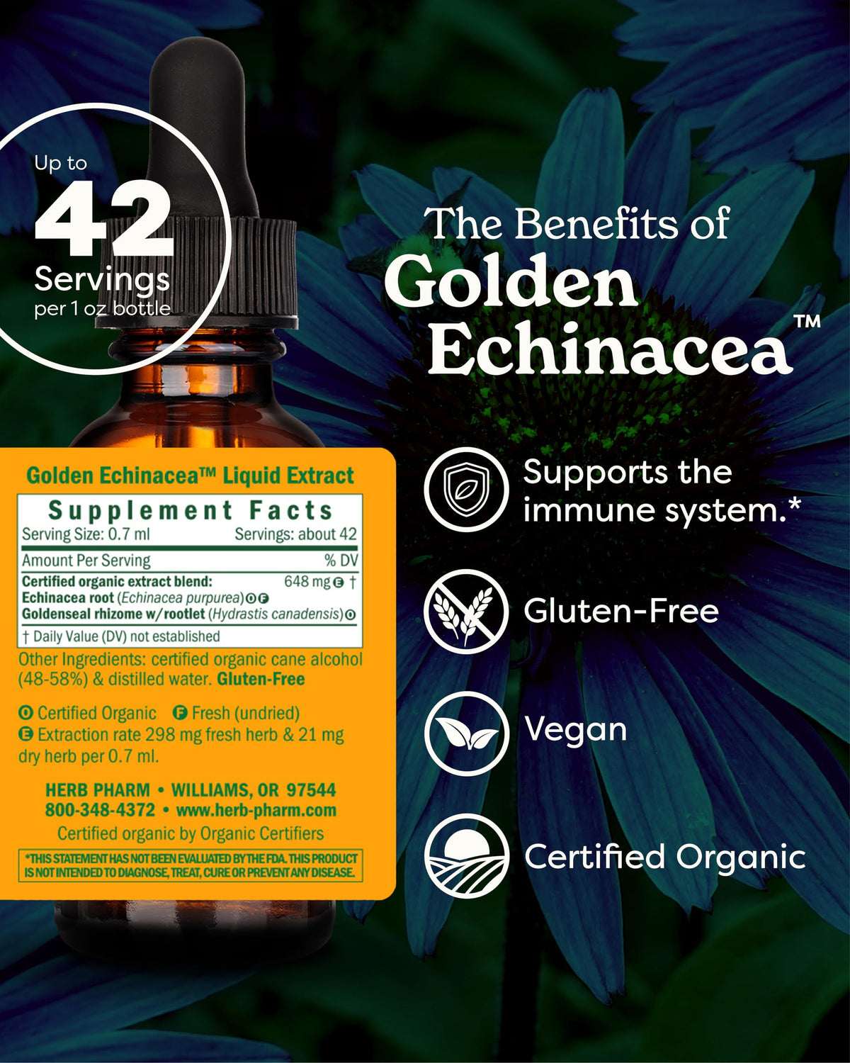 Herb Pharm Golden Echinacea Liquid Extract for Immune Support - 1 Fl Oz - image 2