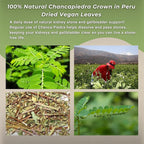 Hanan Chanca Piedra Loose Leaf for Stonebreaker Herbal Tea Dried - image 7