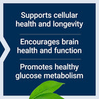 Life Extension Senolytic Activator with Quercetin & Fisetin - 66 Capsules - image 7