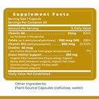 Premier Research Labs Phyto Methylate B-Complex - 60 Capsules - image 6