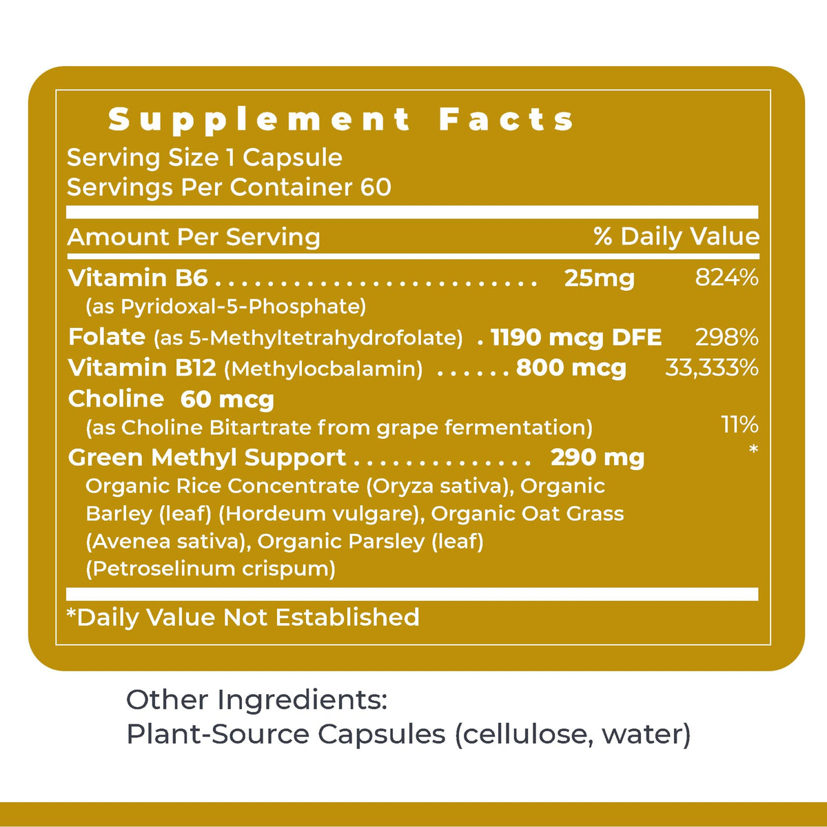 Premier Research Labs Phyto Methylate B-Complex - 60 Capsules - image 6