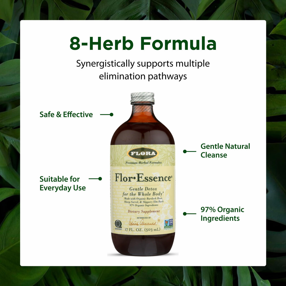 Flora Flor-Essence Gentle Herbal Cleanse Liquid - 17 fl. oz. - image 4