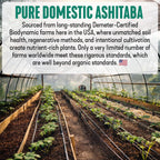 Dr. Cowan's Garden Ashitaba Powder - 40g - image 5