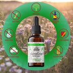 Florida Herbs Dandelion Root Tincture Organic Extract - 2 oz - image 5