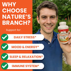 Nature's Branch Organic Ashwagandha with Black Pepper - 180 Capsules - image 3