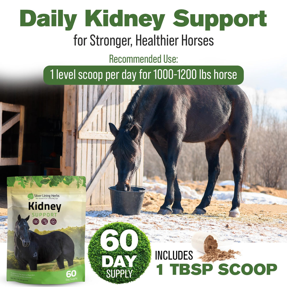 Silver Lining Herbs Kidney Support Supplement for Horses - 1 lb - image 4