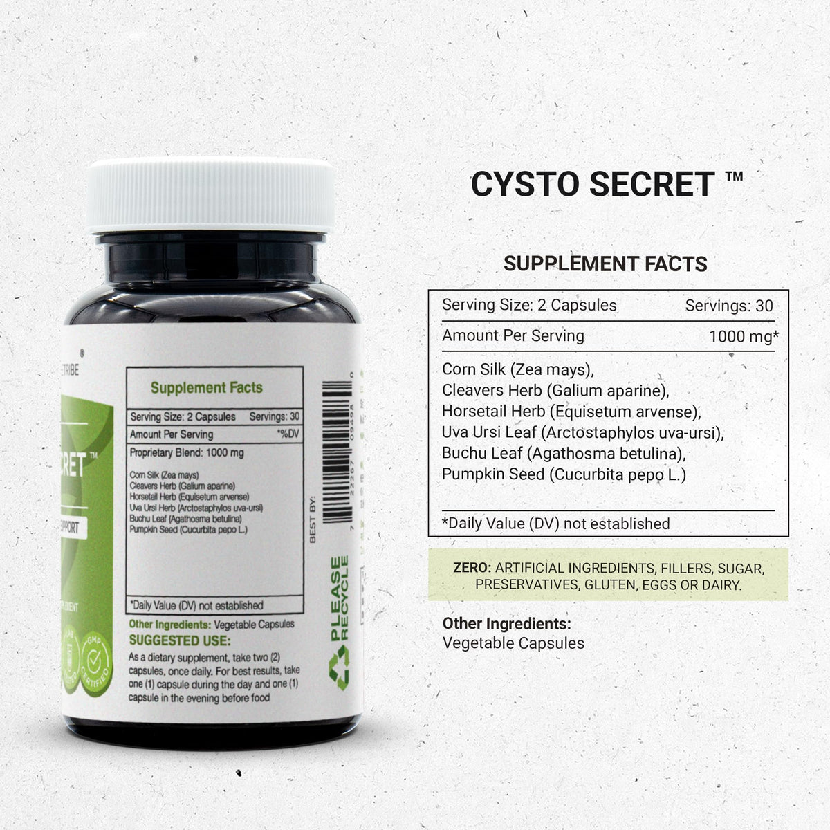 Secrets of the Tribe - Cysto Secret