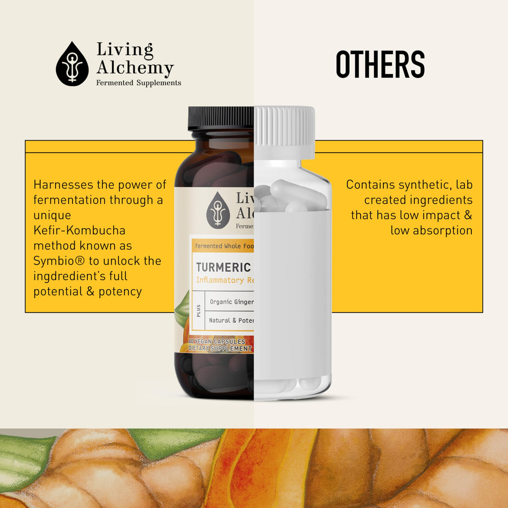 Living Alchemy Fermented Turmeric - 60 Capsules - image 6