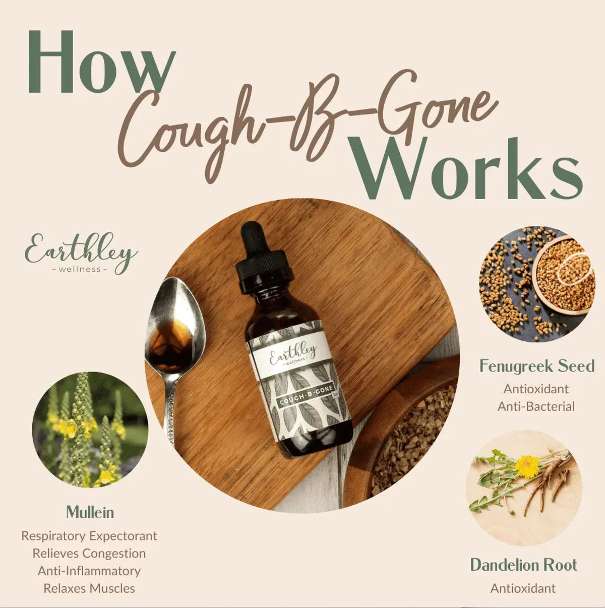Earthley Wellness Cough-B-Gone Natural Herbal Cough Syrup - 2 oz - image 3
