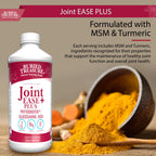 Buried Treasure Joint Ease Plus Liquid Joint Support - 16 fl oz - image 4