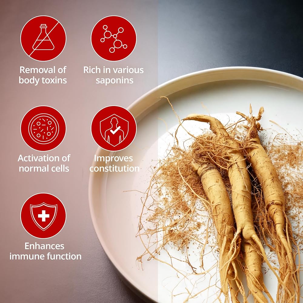 CHEONGHWA F&B Panax Ginseng Powder 10% Ginsenoside - 4.23oz - image 2