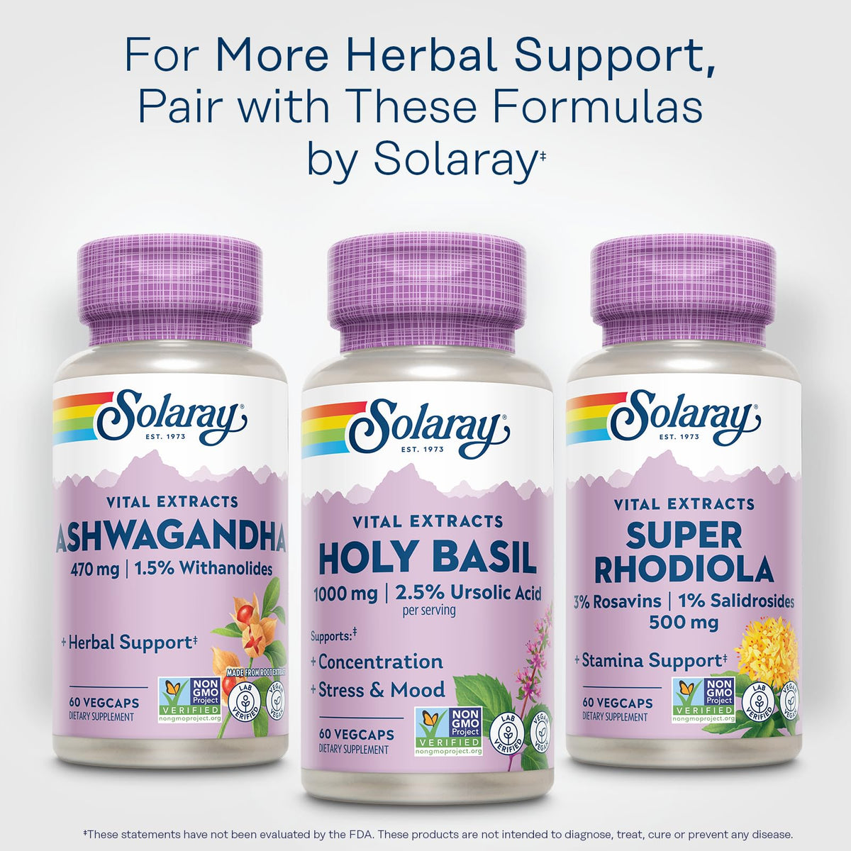 SOLARAY Holy Basil 1000 mg Adaptogen for Stress & Focus - 30 Servings - image 6