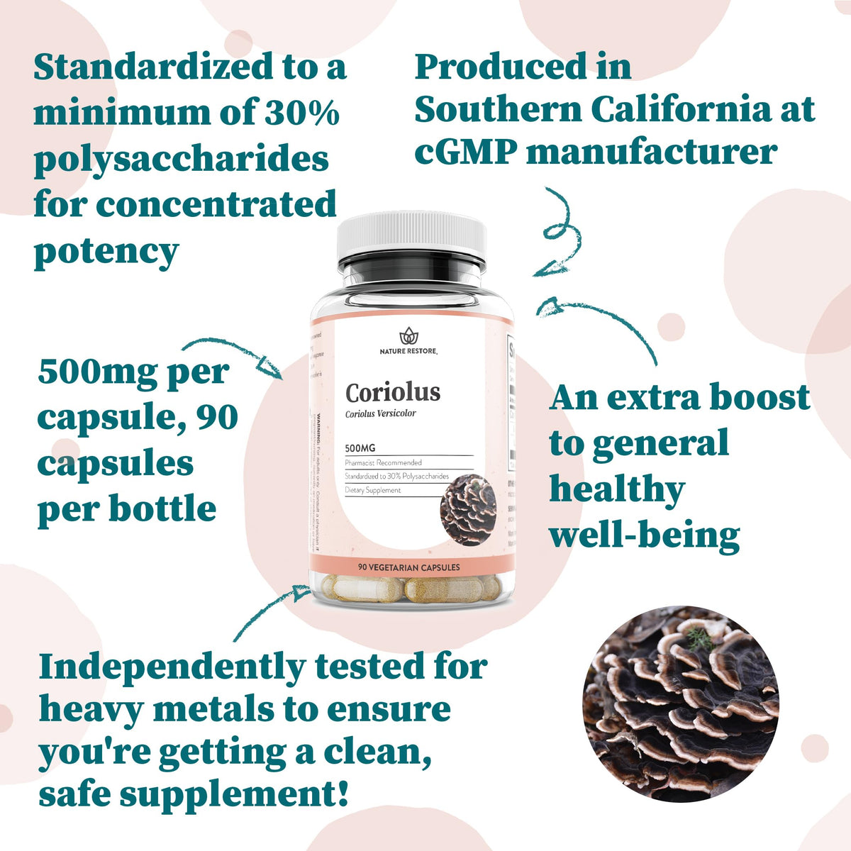 Nature Restore Coriolus Versicolor Mushroom Extract - 90 Capsules - image 3