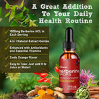 musebeam Organic Berberine HCl 1000mg Liquid Drops - Ceylon Cinnamon