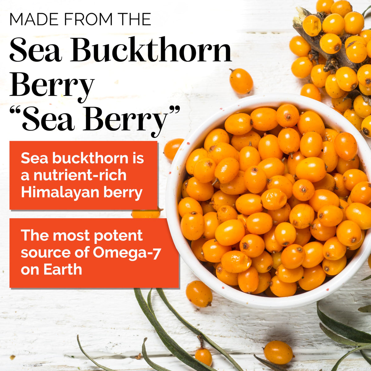 sibu Sea Buckthorn Omega-7 Softgels - 120 Softgels - image 2