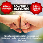 DEDICAD Echinacea Goldenseal 1000mg Immune Support - 60 Vegetarian Capsules - image 5