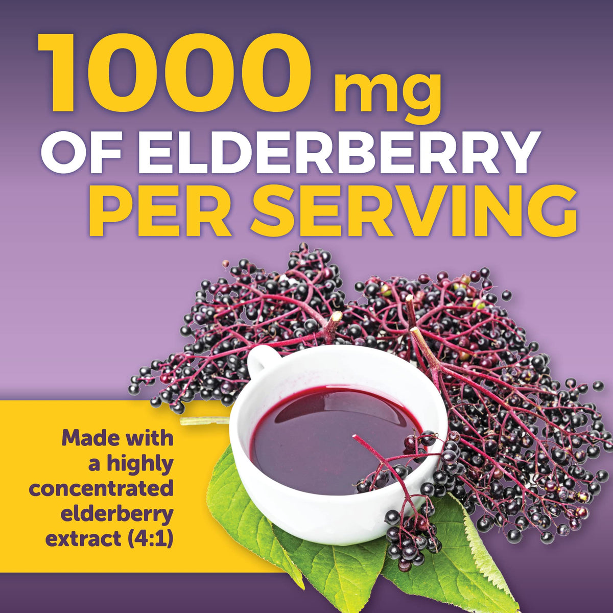 Viva Naturals Elderberry with Vitamin C and Zinc for Adults - 5 in 1