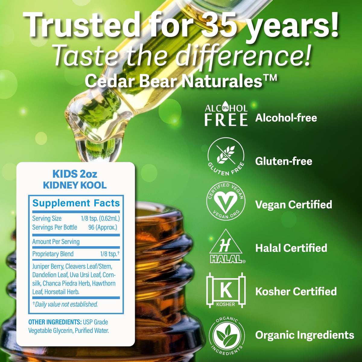 Cedar Bear Naturales Kidney Kool for Kids Liquid Herbal Supplement - 2 Fl Oz - image 2
