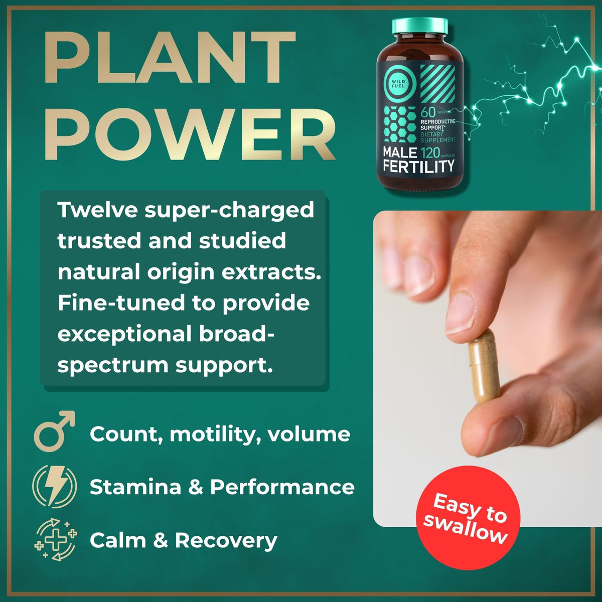 WILD FUEL HMB and Vitamin D3 Supplement Capsules Parent