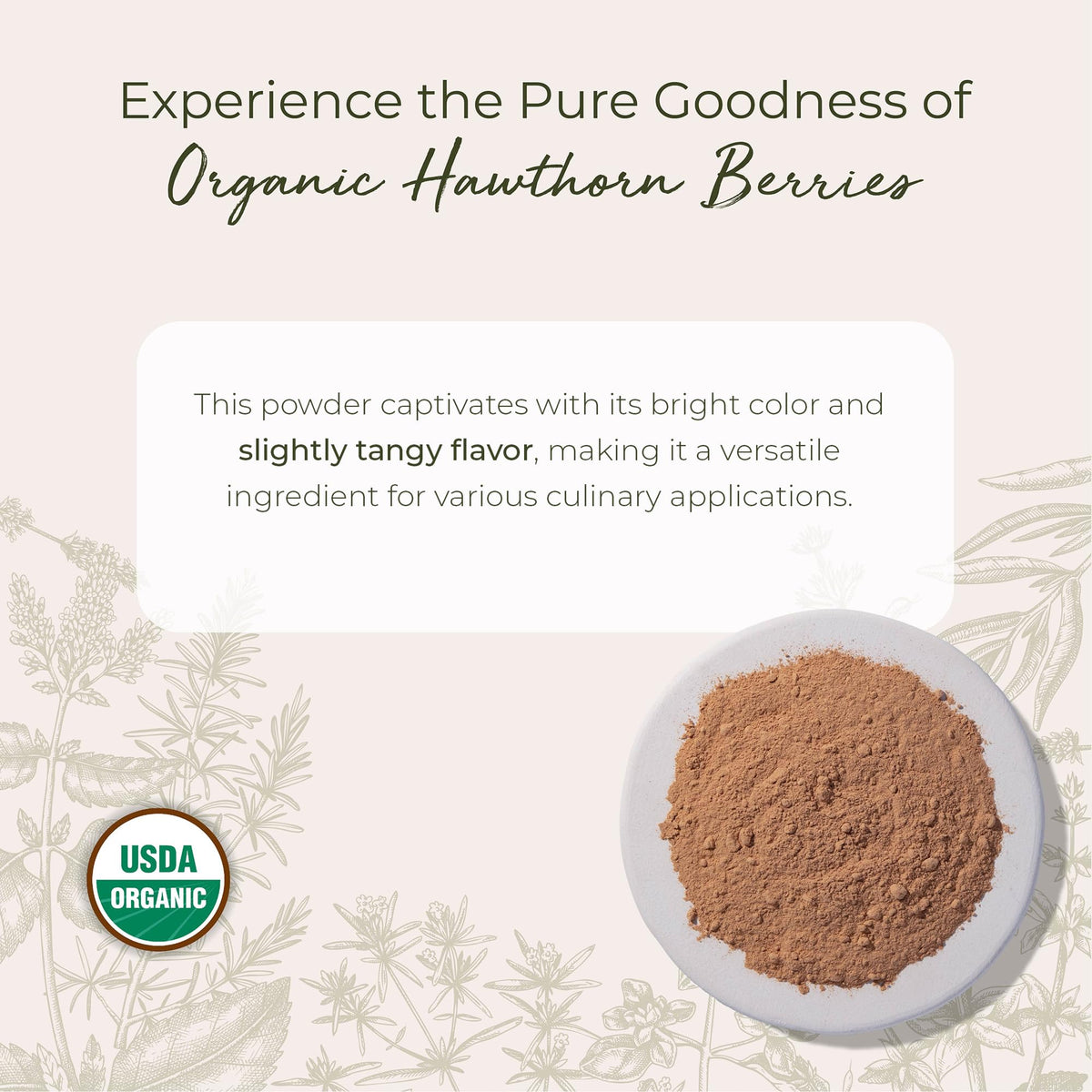 Starwest Botanicals Organic Hawthorn Berry Powder - 1 lb - image 2