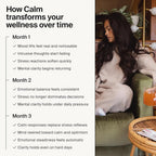 The Absorption Company Calm Drink Mix - Parent