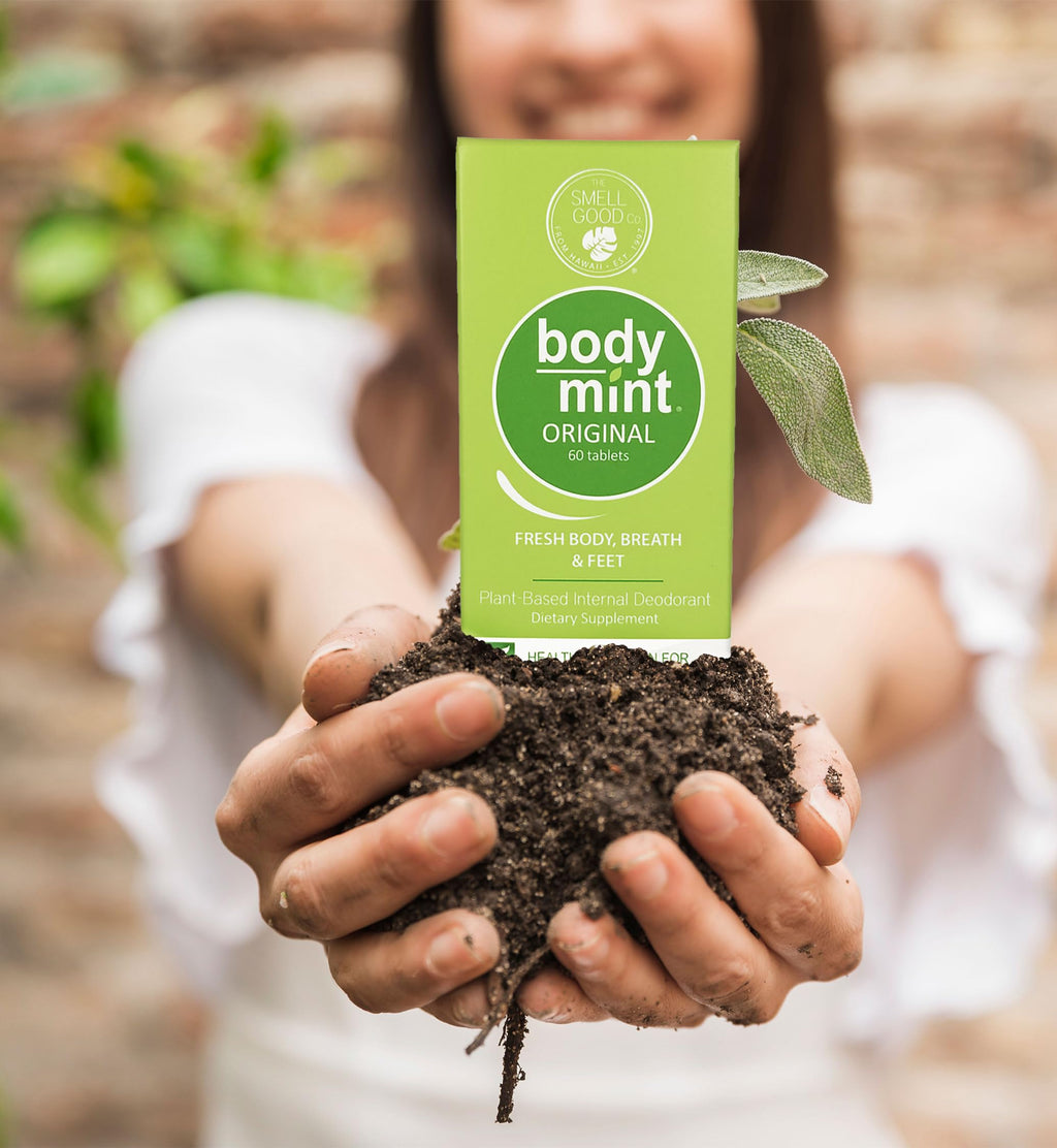 Body Mint Original Chlorophyll Deodorizing Supplement - 50 Tablets - image 7