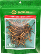 Greenlike Wild Cordyceps Sinensis Himalayan Whole Pieces - 14.15g