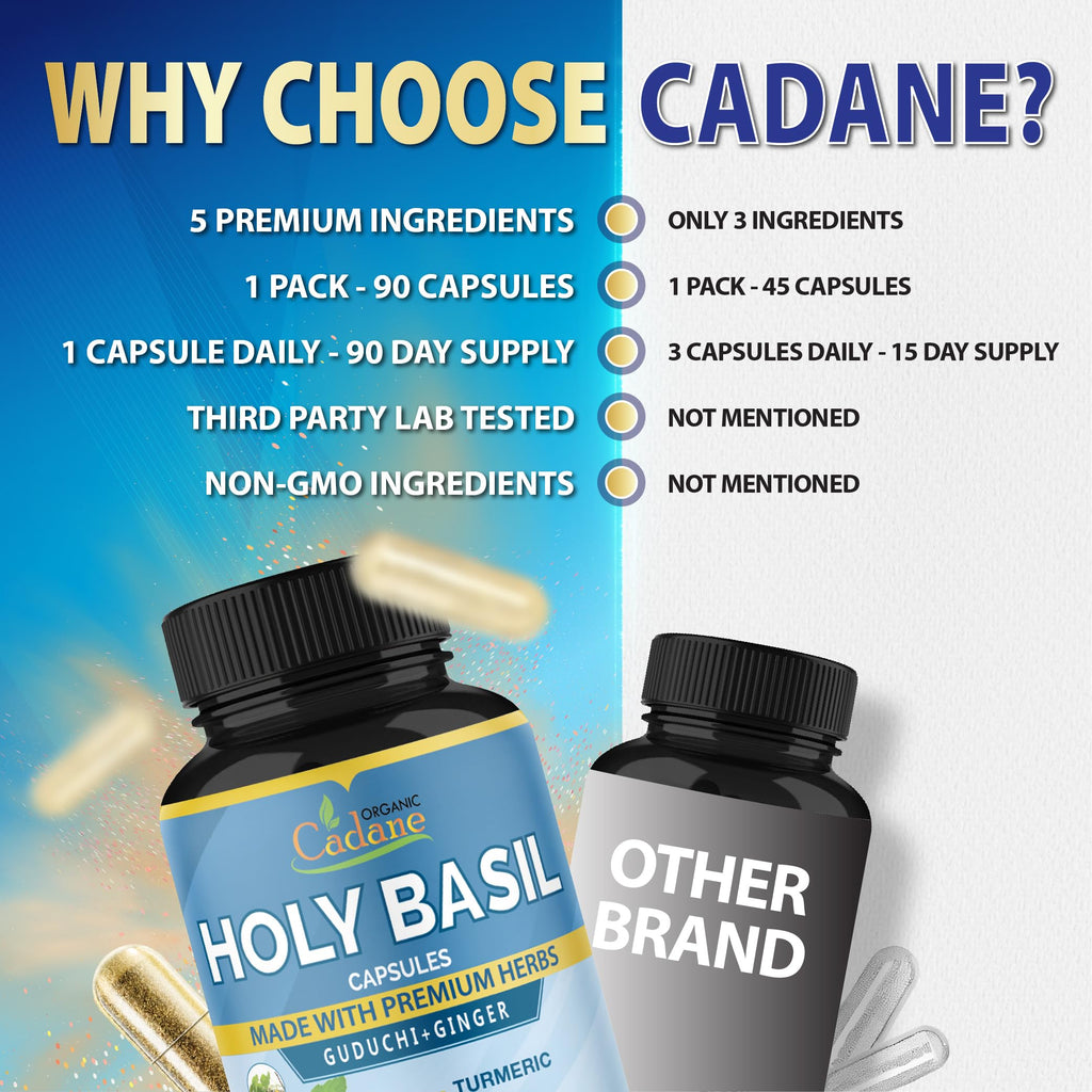 Organic Cadane Holy Basil Supplements with Turmeric & Ginger - 90 Capsules - image 7