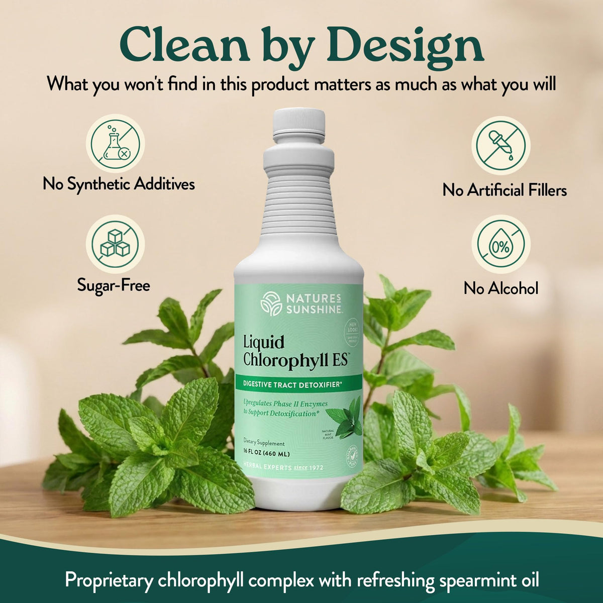 Nature's Sunshine Liquid Chlorophyll Extra Strength - 16 Fl Oz - image 4