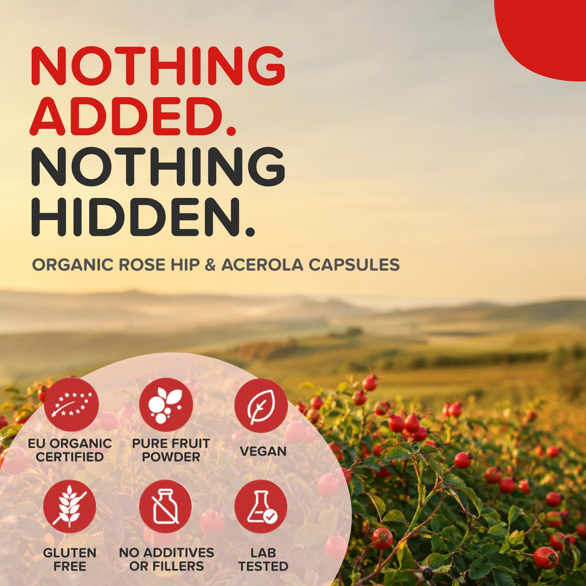 b Natural RoseHips & Acerola Vitamin C 1000mg - 90 Capsules - image 6
