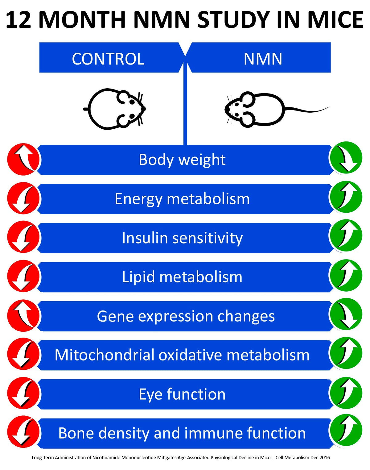 MAAC10 NMN 125mg Pharmaceutical Grade Supplement - 30 Capsules - image 4