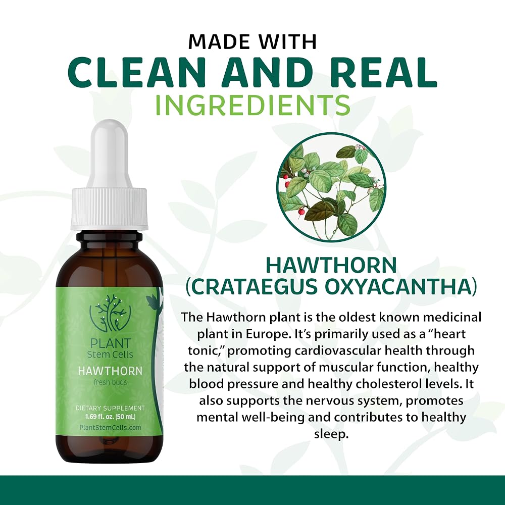 PSC Plant Stem Cells Hawthorn Gemmotherapy Cardiovascular Support - 1.8 Fl Oz - image 2