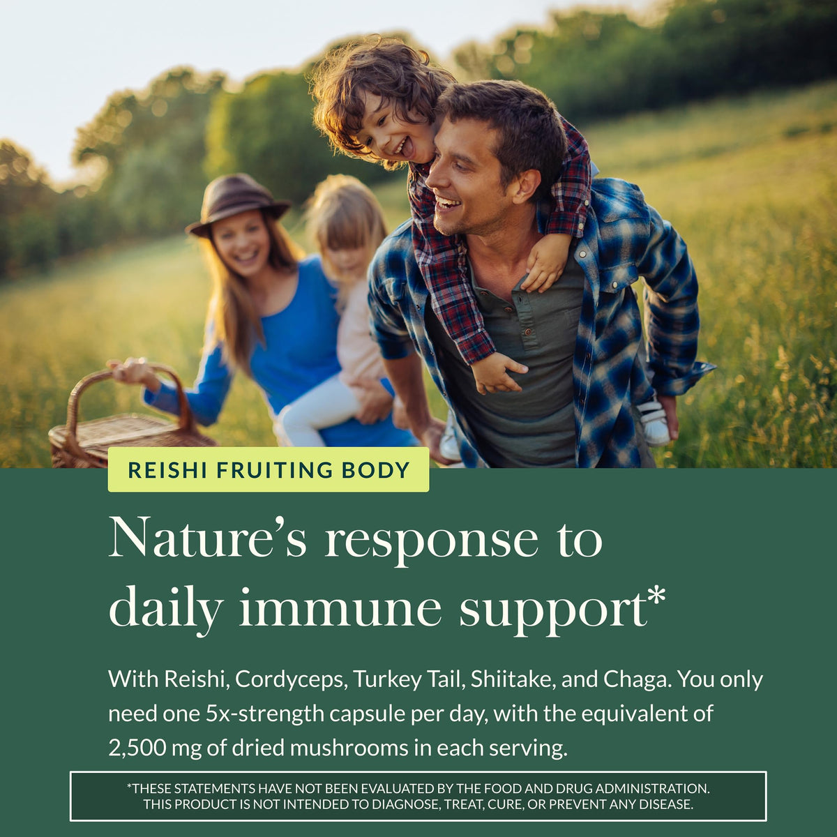 Gaia Herbs Everyday Mushrooms Immune Support - 40 Capsules - image 5