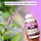 NutriONN Holy Basil Leaf Capsules 500mg Adaptogenic Herb - 120 Vegan Capsules - image 3