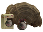 Yu Wei Ginseng Wild American Reishi Mushroom Powder - 30g - image 2