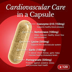 Rhoziva CoQ10 Cardiovascular Supplement - 120 Capsules - image 4
