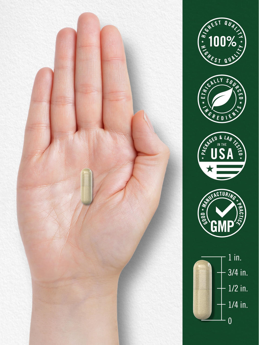 Carlyle Gymnema Sylvestre Capsules - 200 Count - image 7