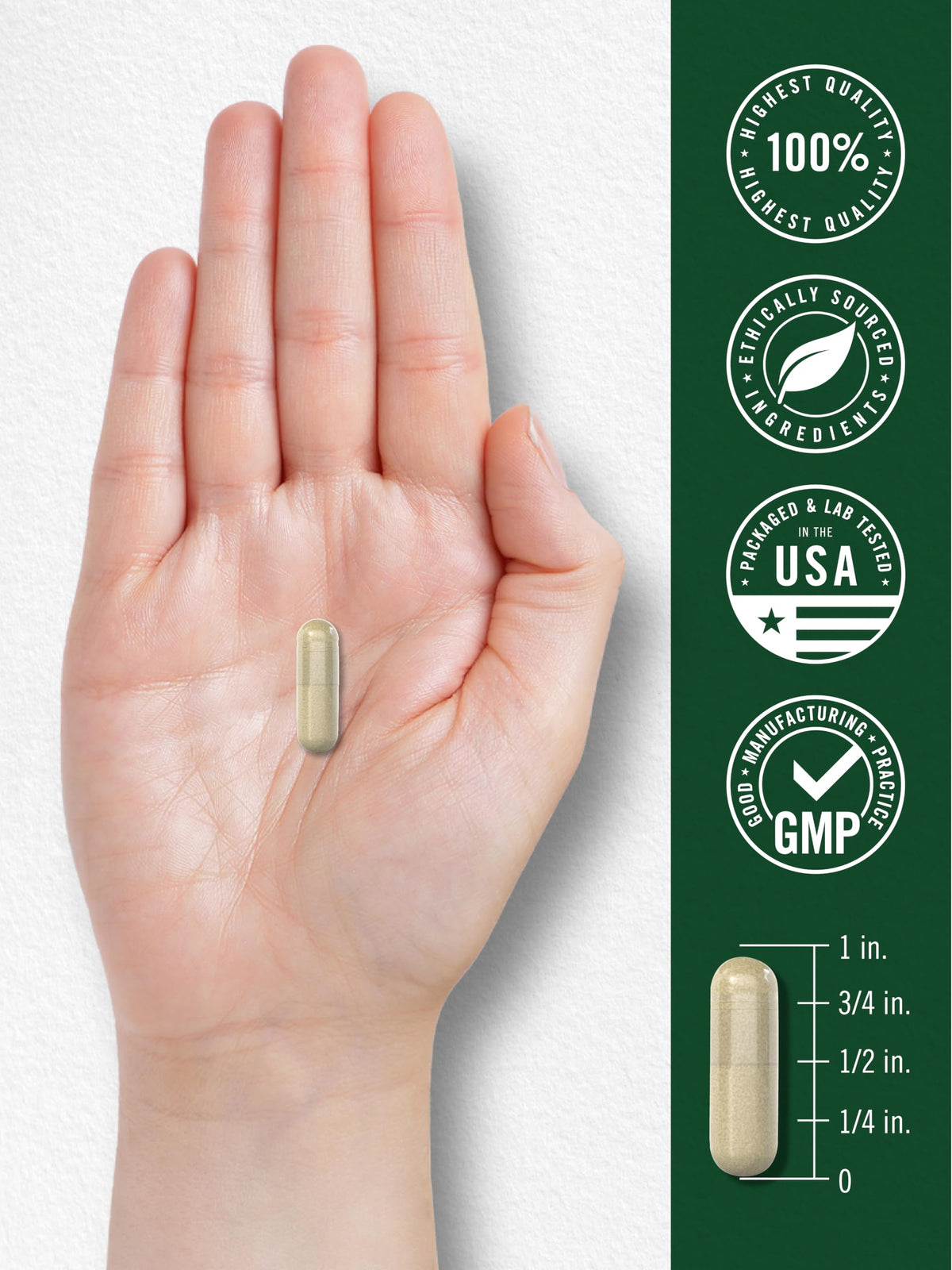 Carlyle Gymnema Sylvestre Capsules - 200 Count - image 7