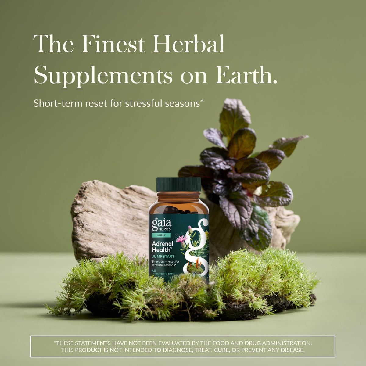 Gaia Herbs Adrenal Health Jumpstart - 60 Vegan Capsules - image 2