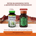 Herbs Etc. ChlorOxygen Chlorophyll Concentrate - 60 Softgels - image 2