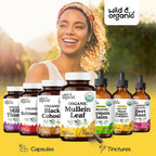 Wild & Organic USDA Organic Mullein Capsules Lung Support - 90 Count - image 6