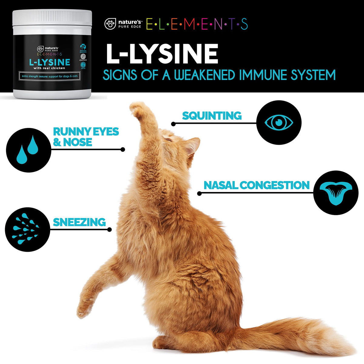 Nature's Pure Edge L-Lysine Powder for Cats - 125 Grams - image 7